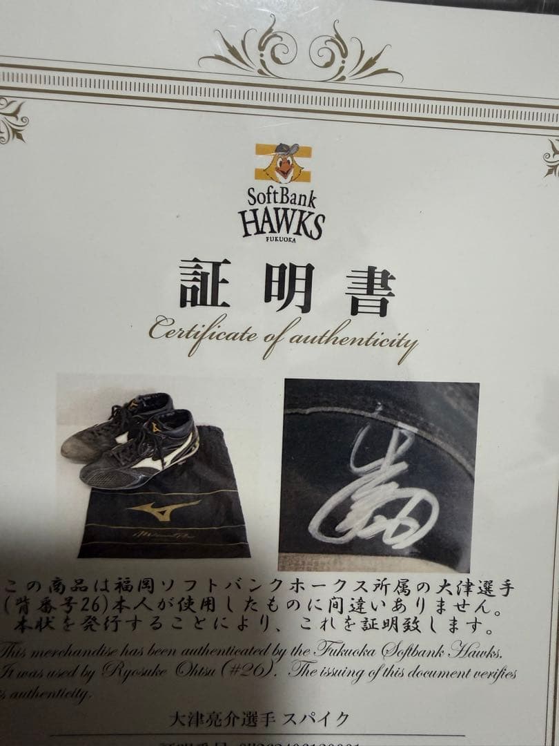 ソフトバンクホークス　大津選手　実使用