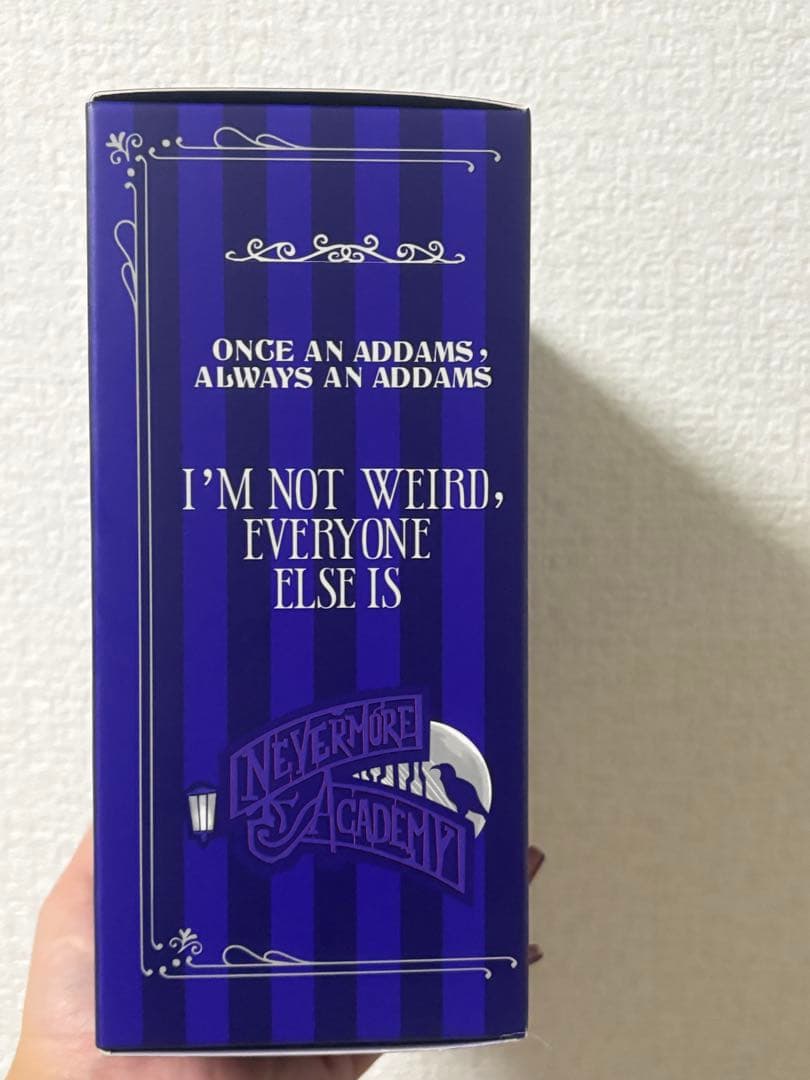 SKULLPANDA x Wednesday タイ　POPMART