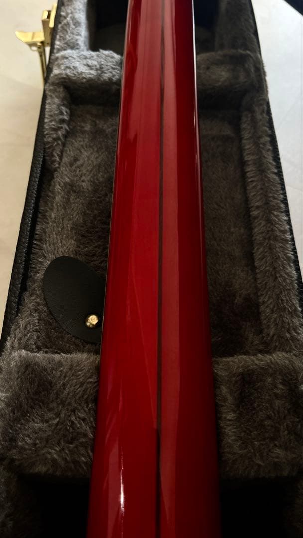 上位仕様　D’Angelico Excel Mini DC Duncan 59