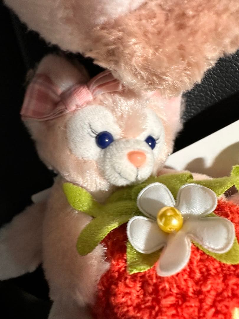 Disney ダッフィー＆フレンズ ストラップセット