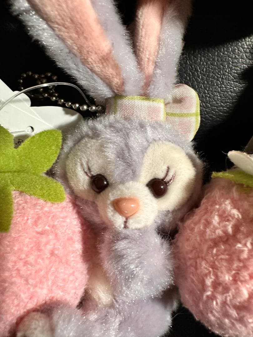 Disney ダッフィー＆フレンズ ストラップセット