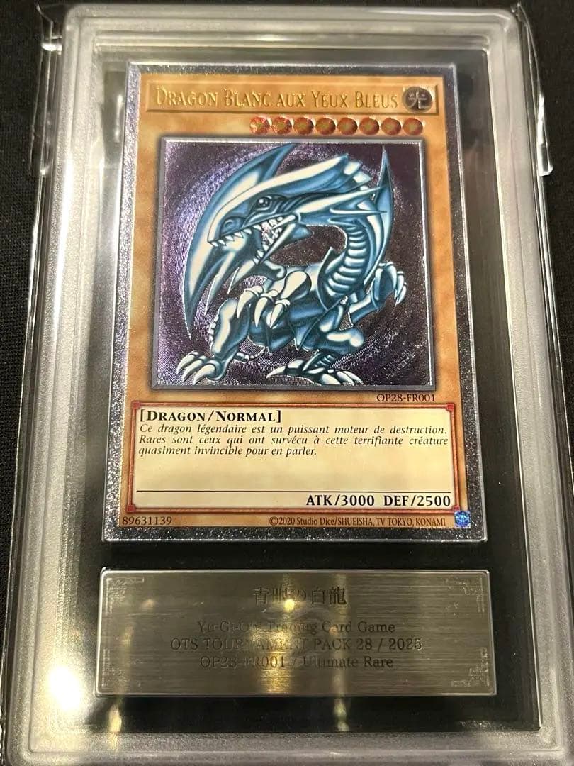 青眼の白龍　レリーフ　遊戯王　フランス語　ARS9