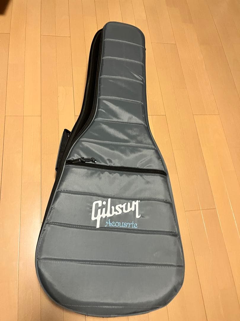 ギター Gibson Les Paul Special DC USA P-90
