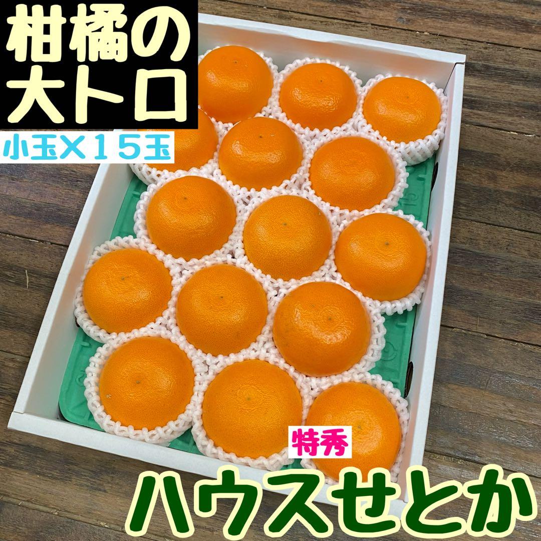 小玉【柑橘の大トロ・ハウスせとか特秀15玉入】和歌山 有田産 No.001