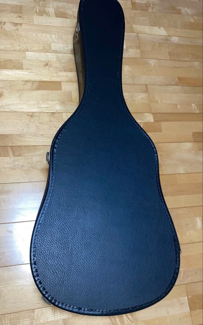 ほんり❣️美品Epiphone DOVE アコギター　ハードケース付