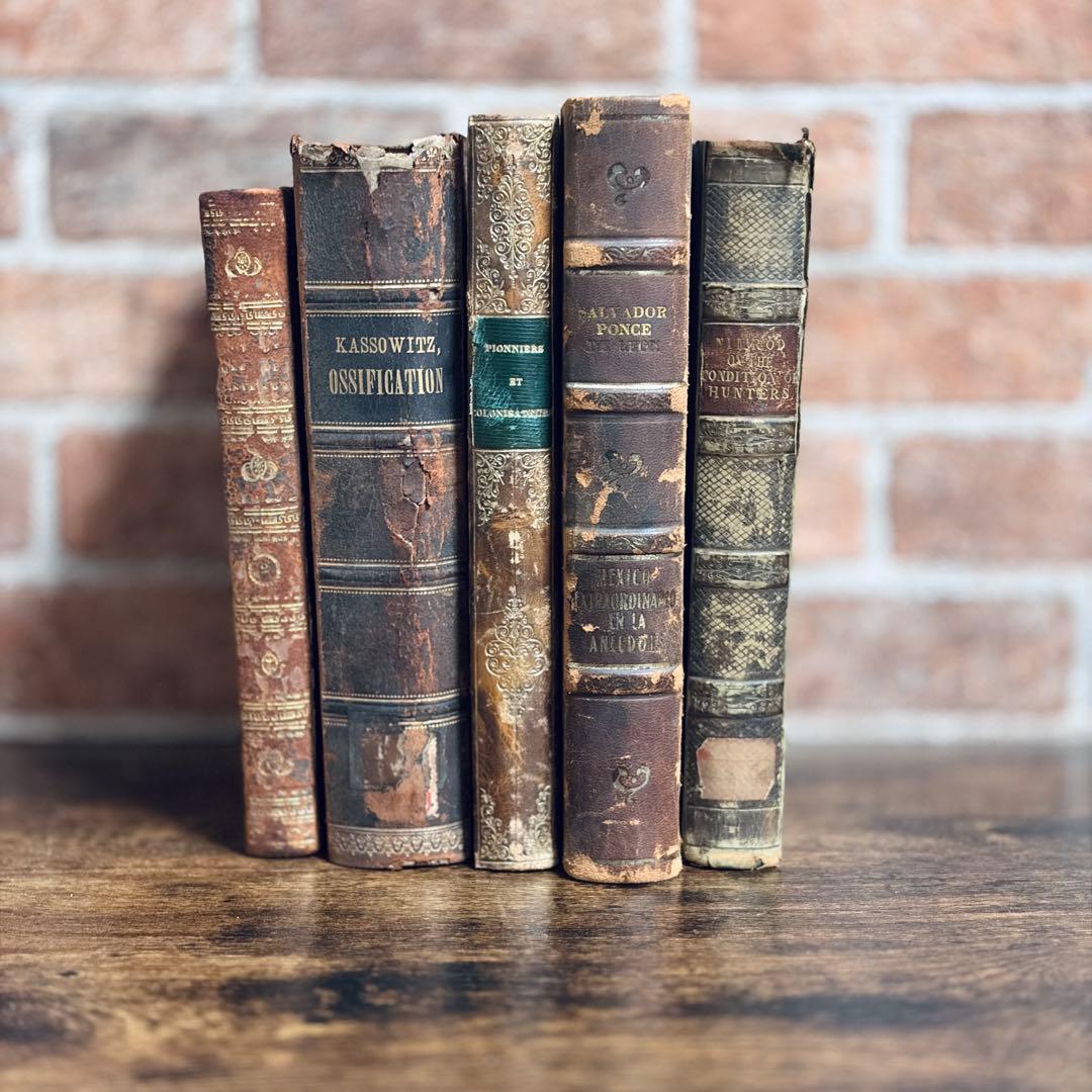 古い革装丁の洋書【5set】 古書　アンティーク ゴールド装飾　インテリア