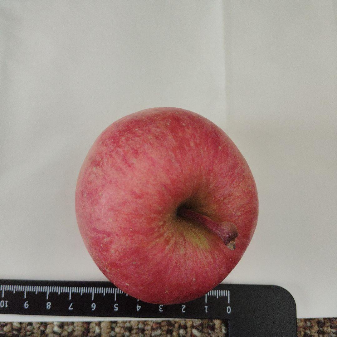 高徳りんご　約19.8キロ　クロネコ発送　運賃の関係で20キロ以内