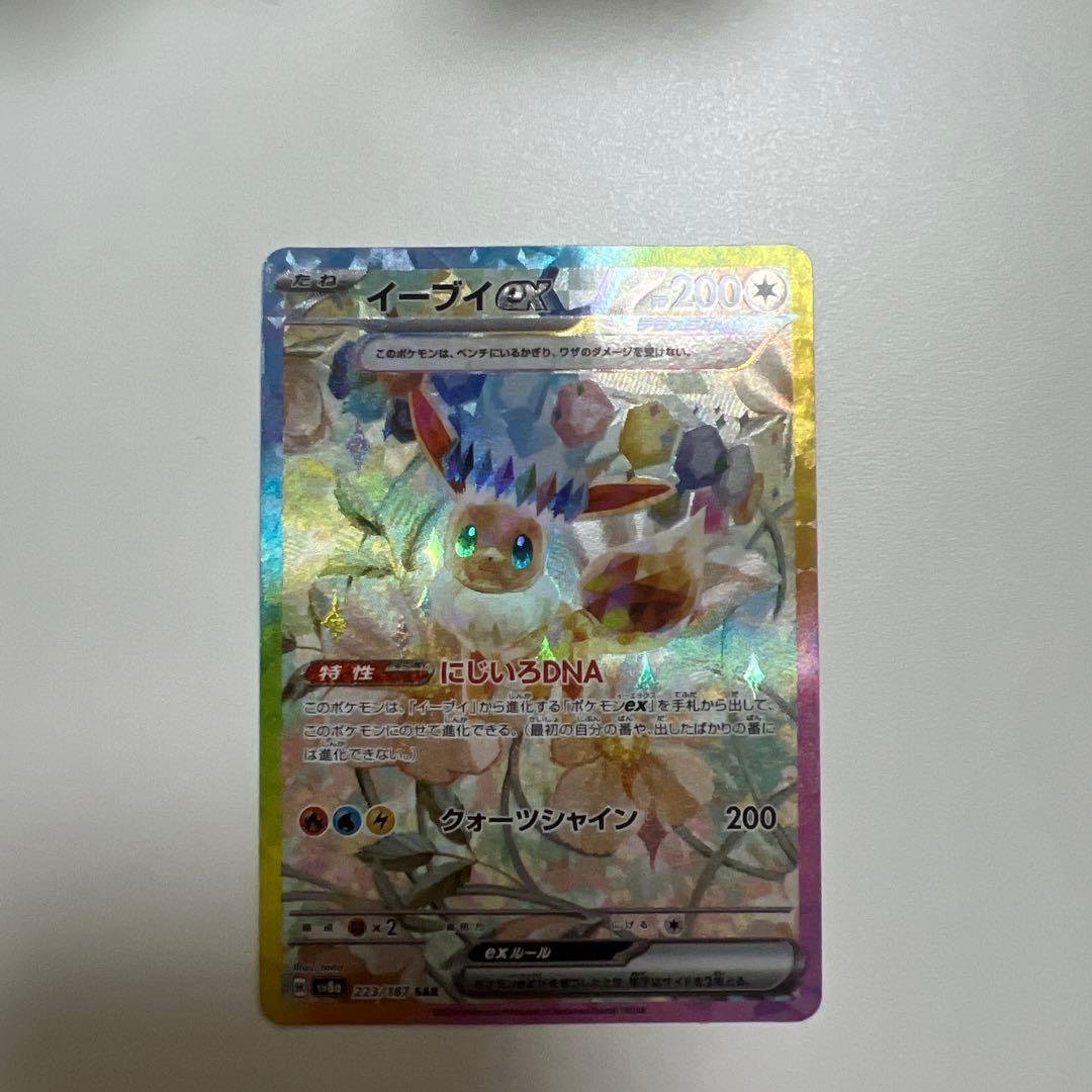 イーブイSAR2種類