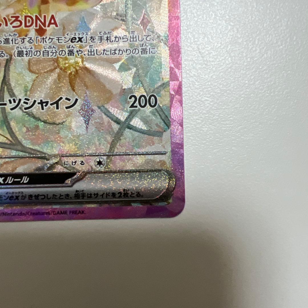 イーブイSAR2種類