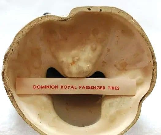 ペンギン ドミニオンペンギン❤︎世界唯一見られるDOMINION PENGUIN