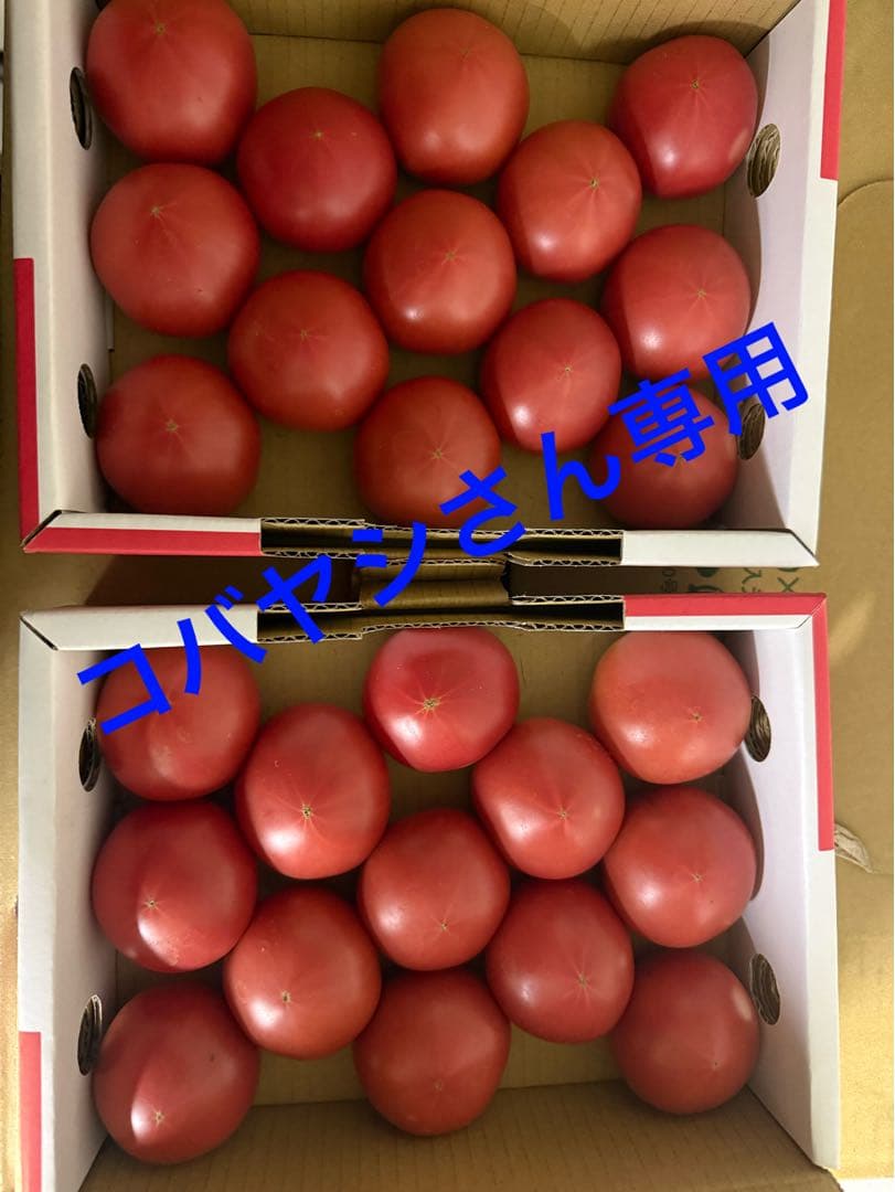 コバヤシさん専用 アメーラトマト6ケース