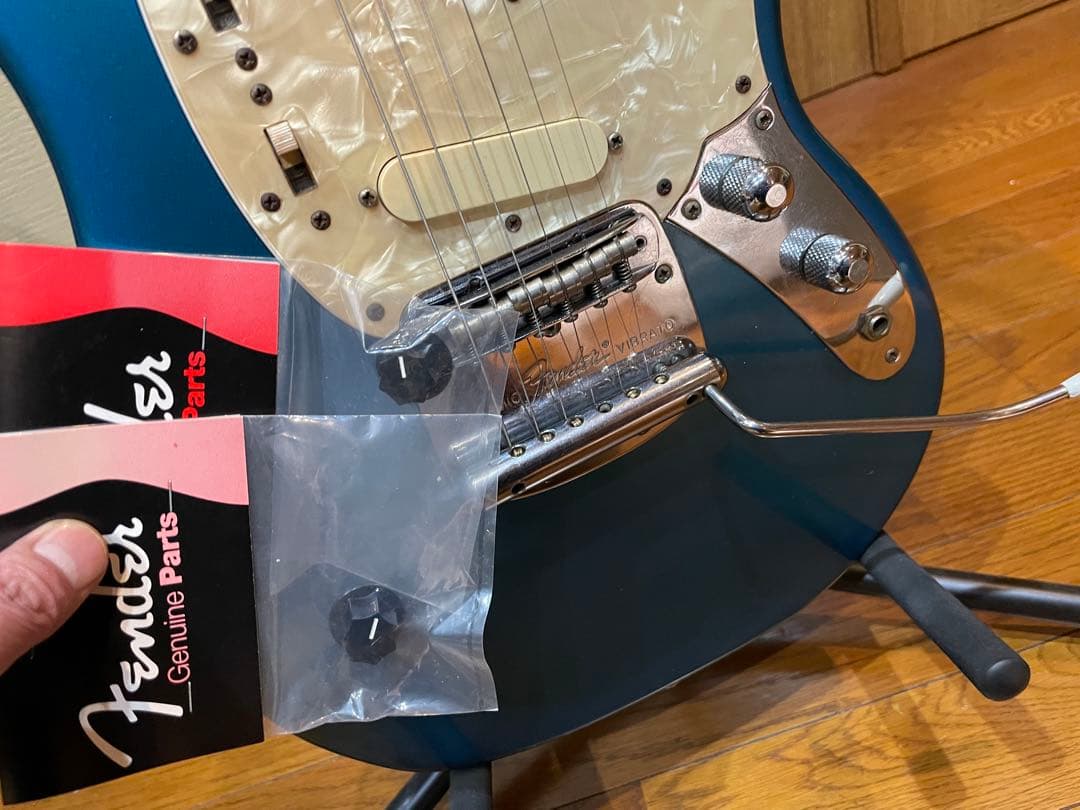 Fender Japan Mustang MG-69 レアカラー