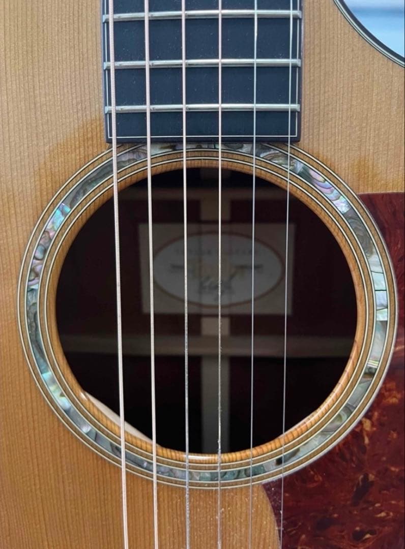 Taylor テイラー 514ce ES-1エレアコ上位機種【期間限定お値下げ】