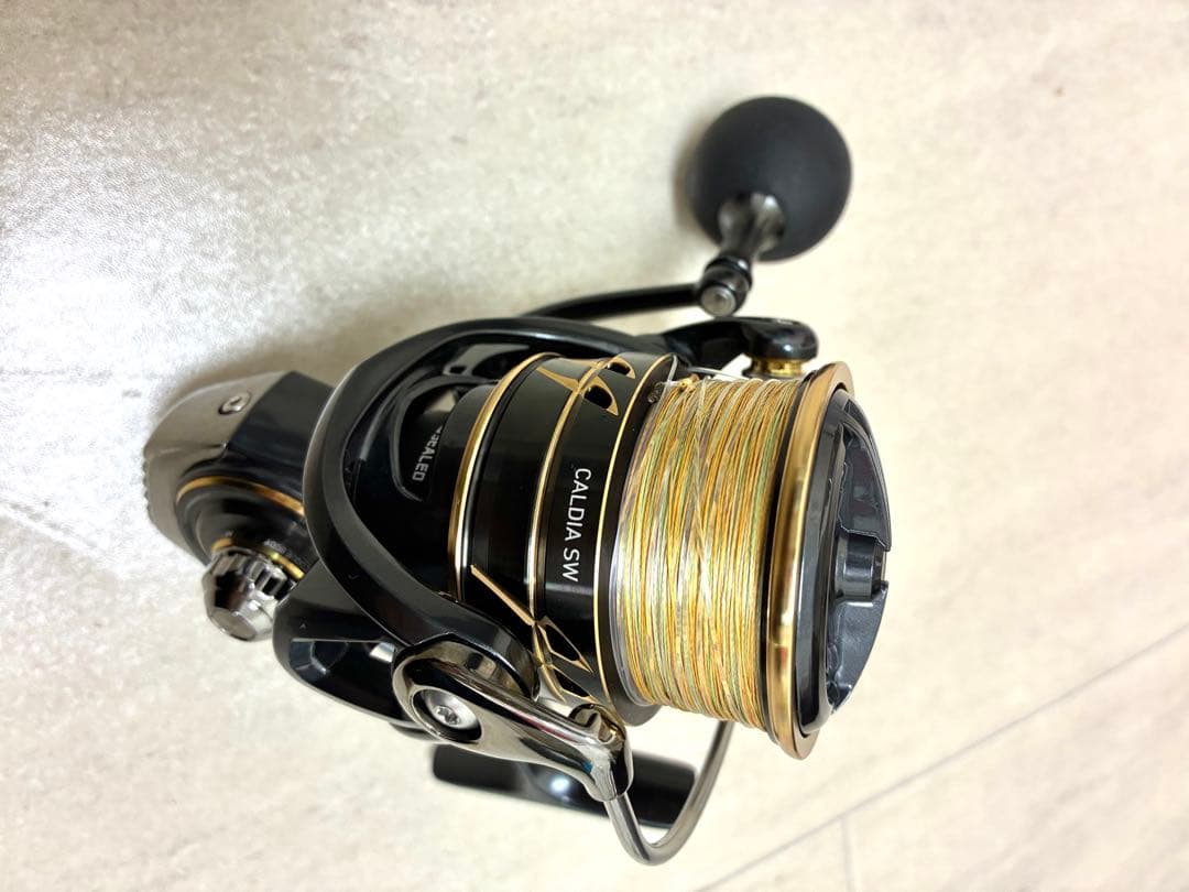 【波】ダイワ カルディア22SW5000CXH