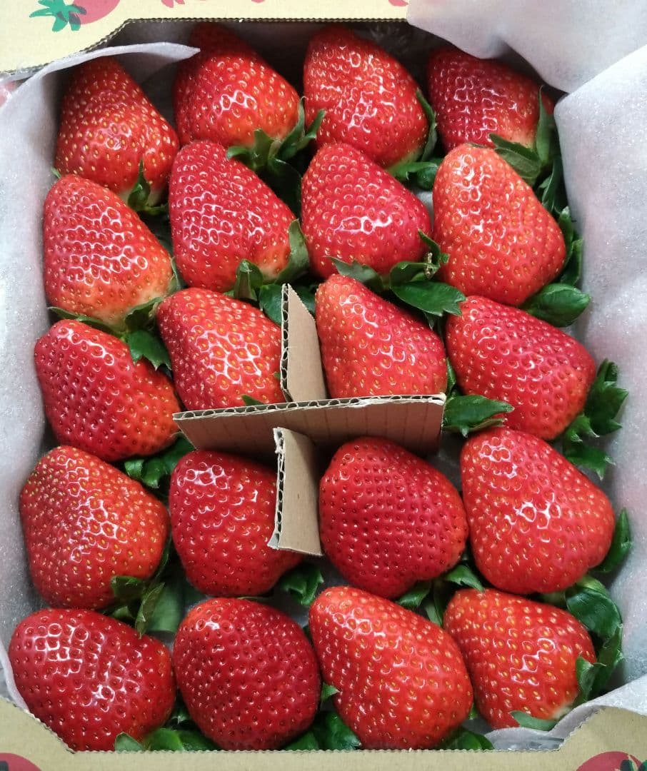 いちご11超特大大粒古都華奈良産
