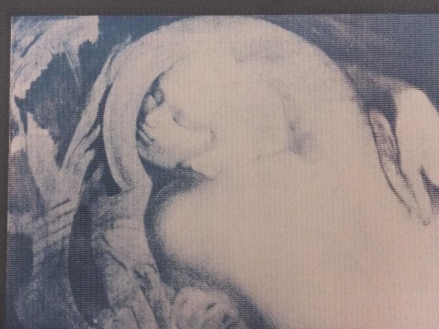 現代美術　エルンスト・フックス　直筆サイン『サラマンダーの影へ』0418F