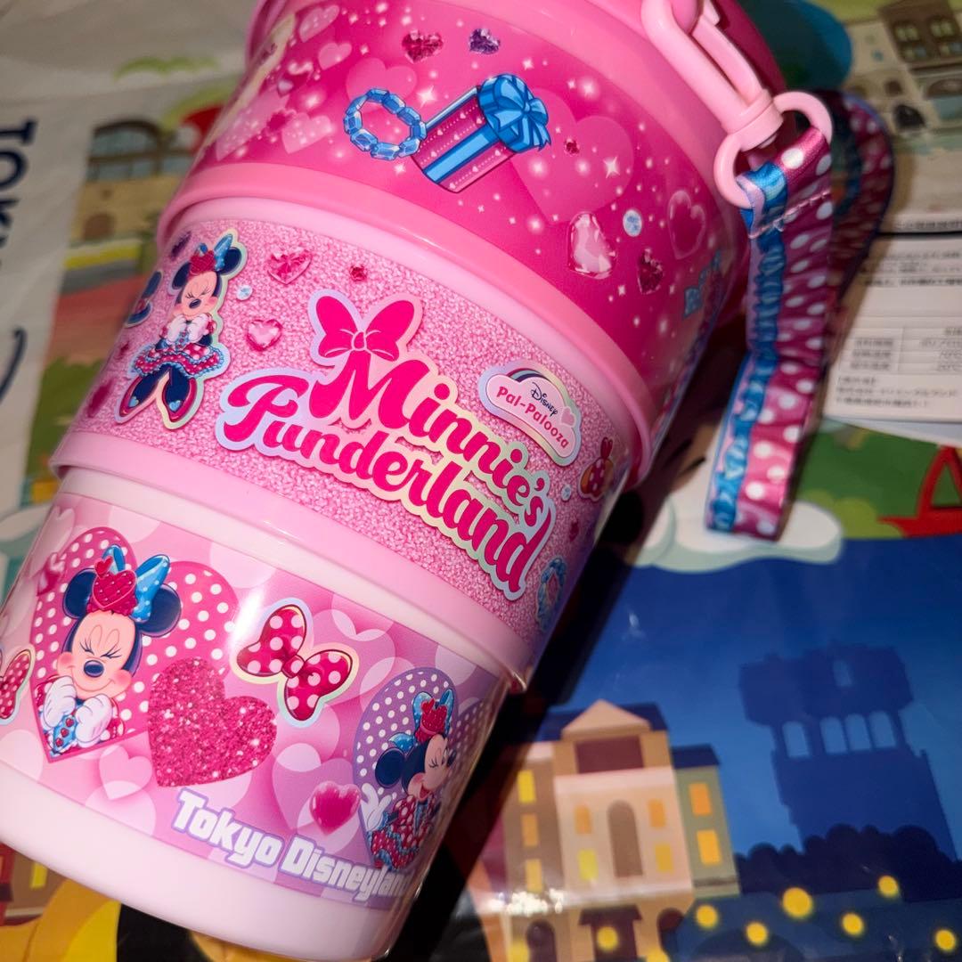 ミニー の ファンダーランド パルパルーザ ポップコーンバケット 未使用