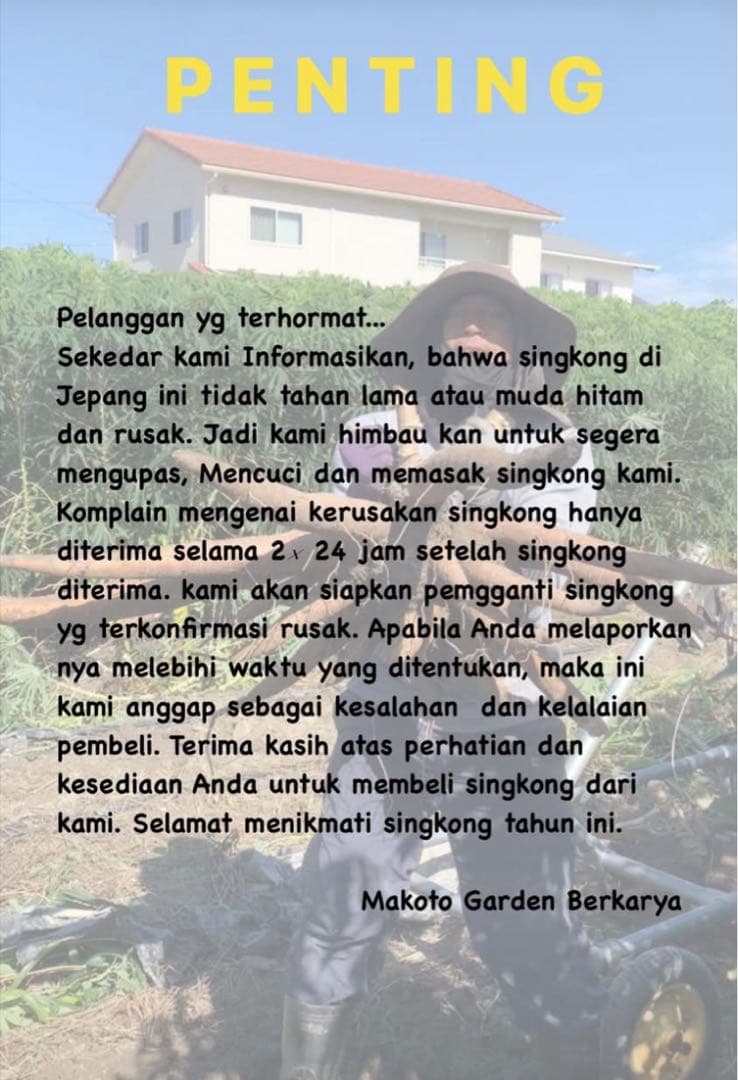 キャッサバ芋 16Kg 新鮮