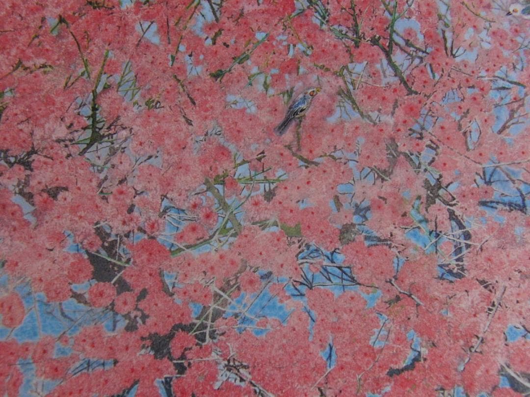 小谷津雅美、「花遊悠」、希少画集・額装画、日本製・新品額縁にて額装致します