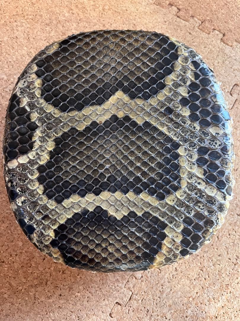 沖縄　伝統工芸士製作三線　カミゲン一枚貼り(本張)(製作証明あり)