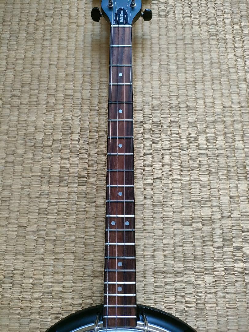 【美品】Gold Tone　AC-4IT　アイリッシュテナーバンジョー