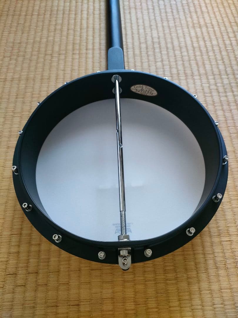【美品】Gold Tone　AC-4IT　アイリッシュテナーバンジョー