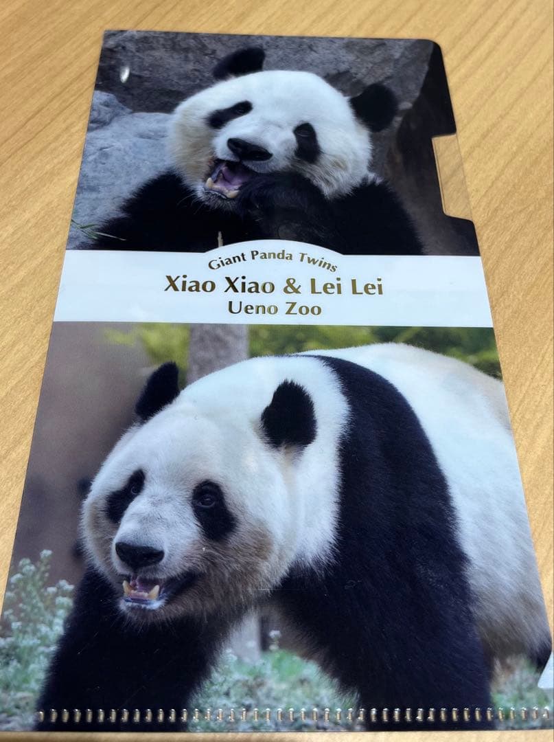 シャオシャオレイレイぬいぐるみセット（マルチケース付き）