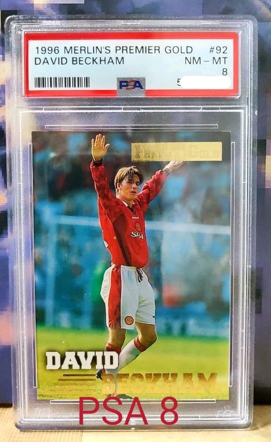 Merlin’s Premier Gold   Beckham　ベッカム