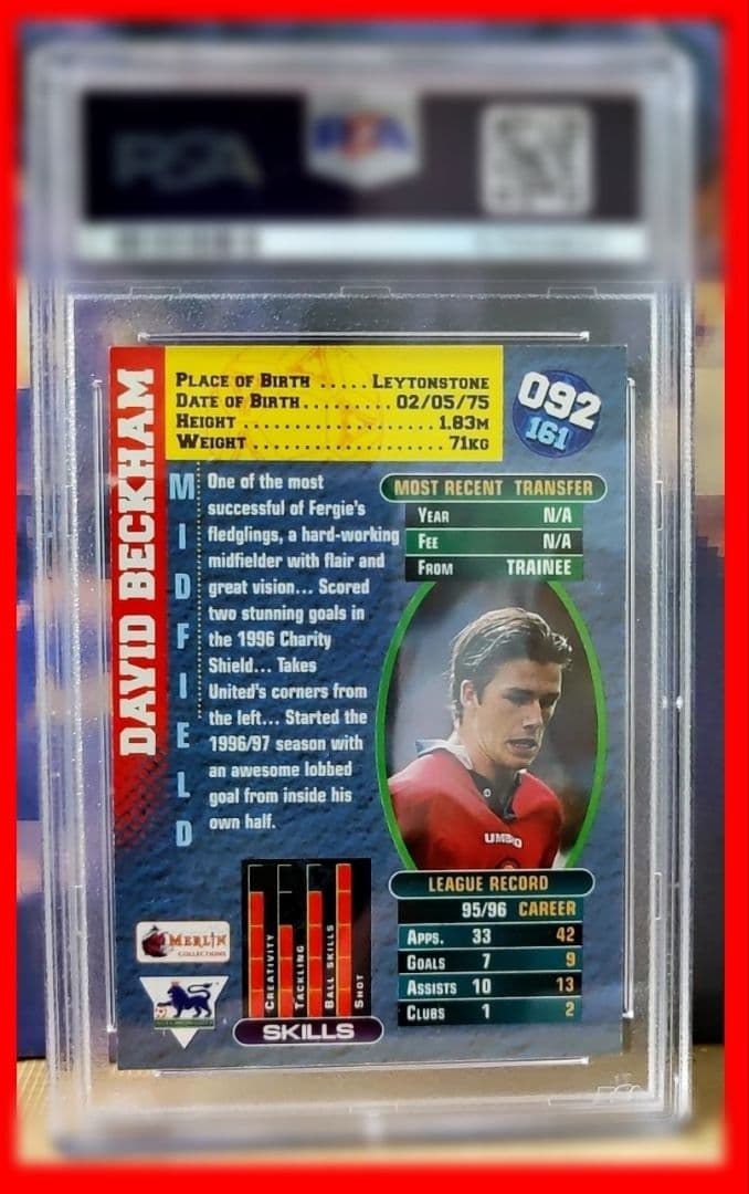 Merlin’s Premier Gold   Beckham　ベッカム