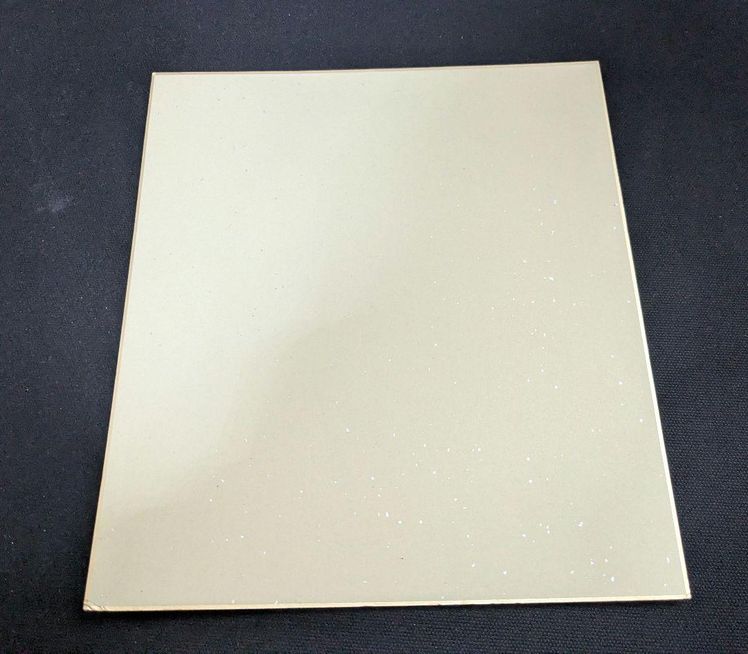 えすのサカエ 複製 サイン色紙　未来日記