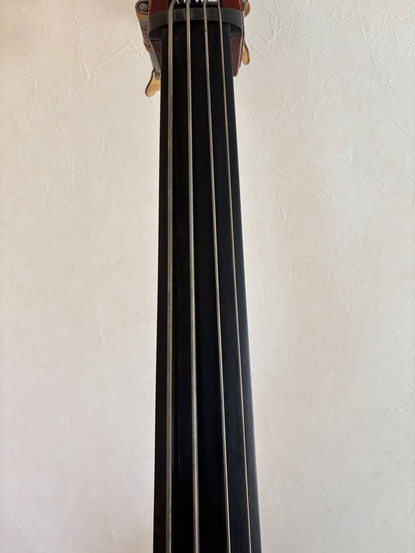 カルロジョルダーノ SB-150 ソフトケース付き　（直接取引限定）