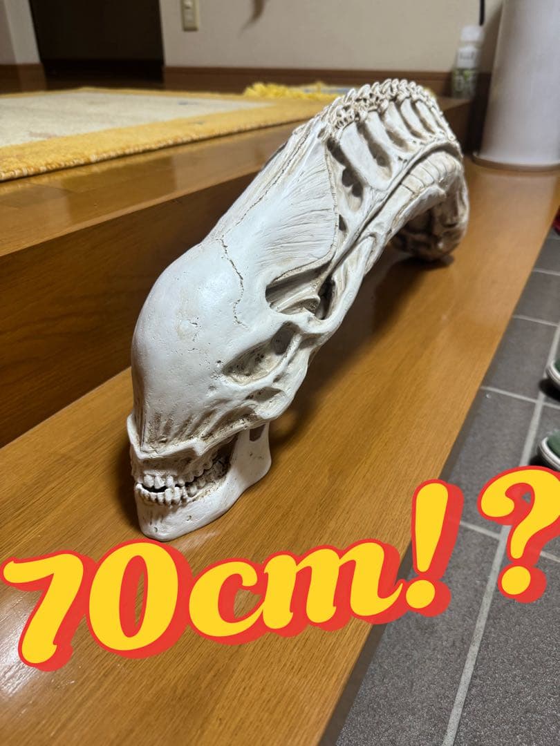 ✳︎超特大✳︎ エイリアン　頭蓋骨　模型　70 cm!!!