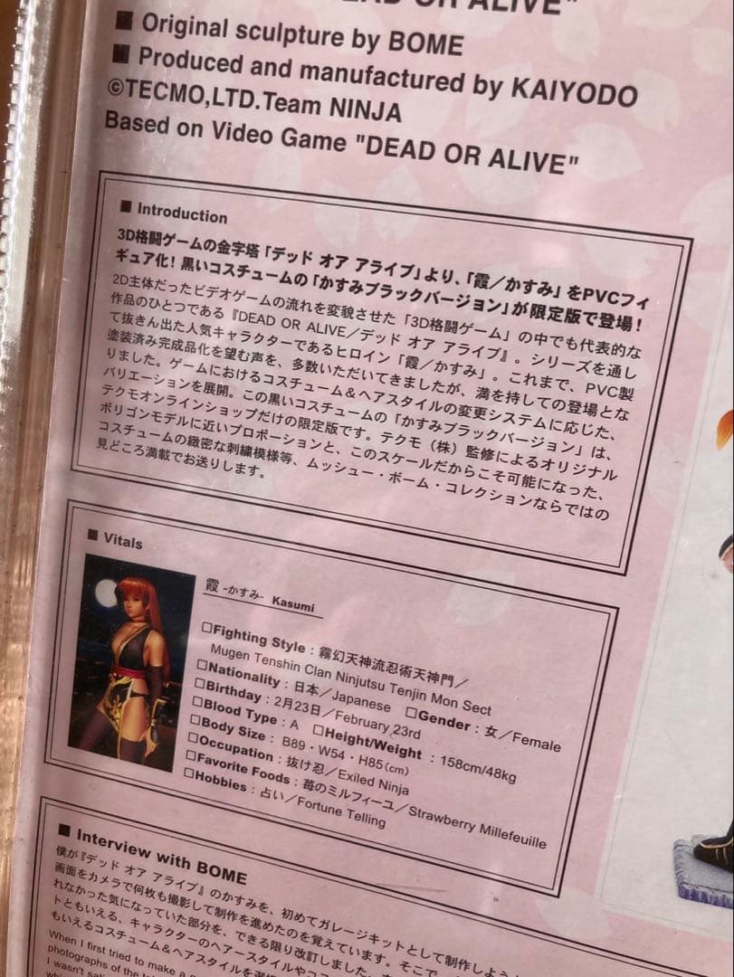 デッドオアアライブ かすみ BLACK ver. フィギュア【未開封品】