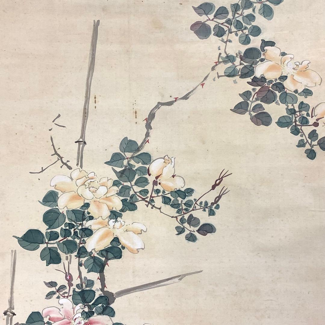 掛軸 春洋 鶏 木箱 花鳥図 親子 3-42