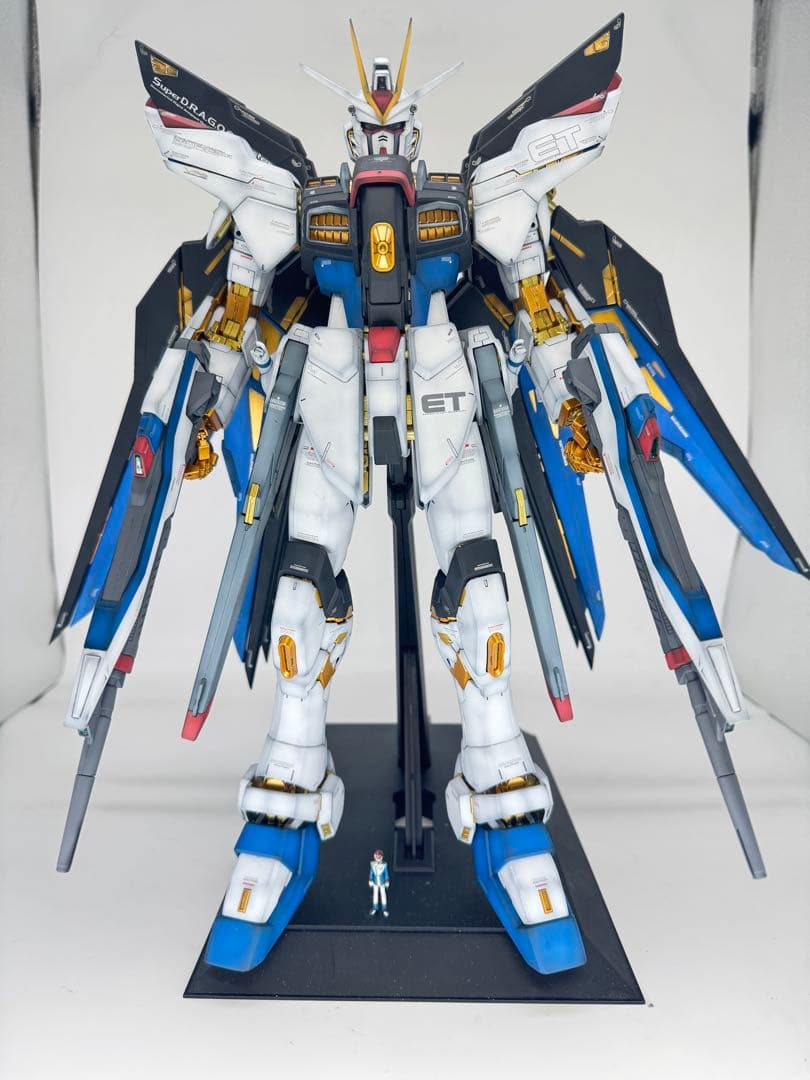 PG ストライクフリーダムガンダム　エアブラシ全塗装　完成品 ガンダムSEED