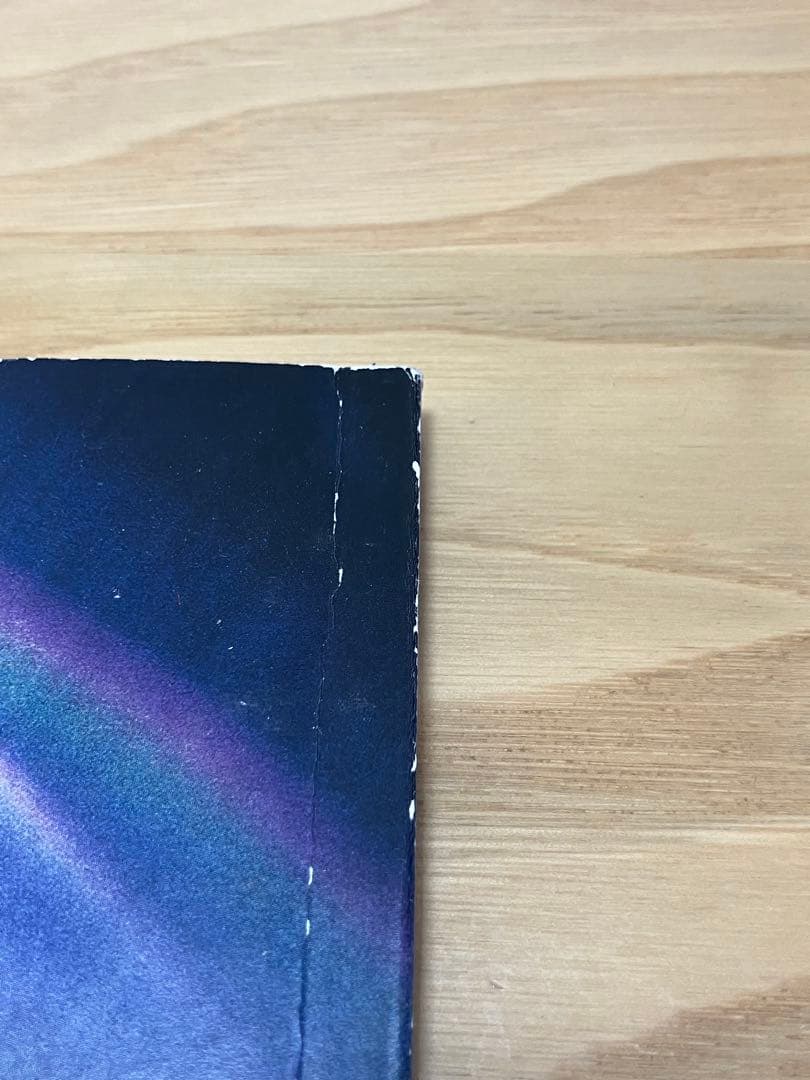 【限定】ポールマッカートニー 2015ツアータオル・パンフレット・チラシ