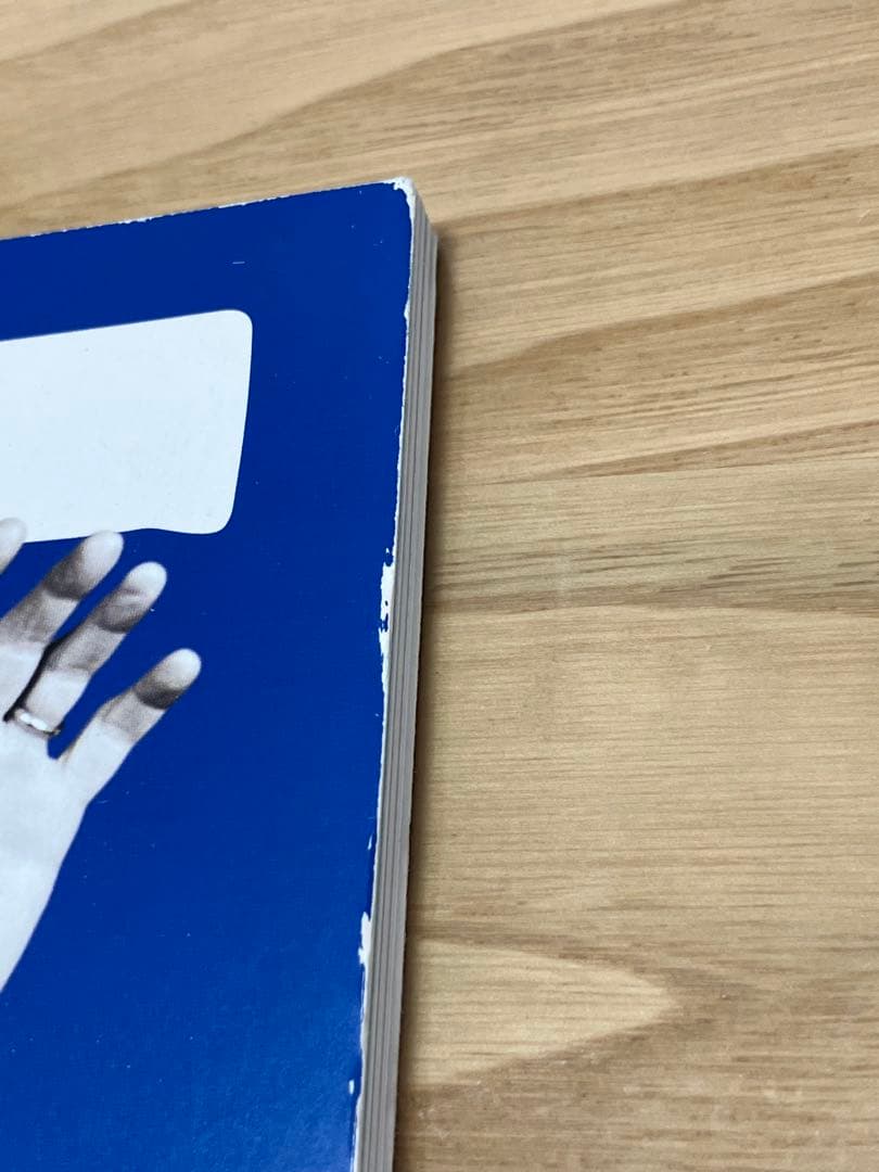 【限定】ポールマッカートニー 2015ツアータオル・パンフレット・チラシ