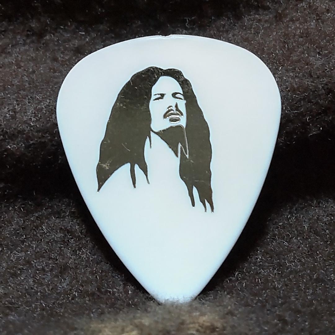Dimebag Darrell ギターピック