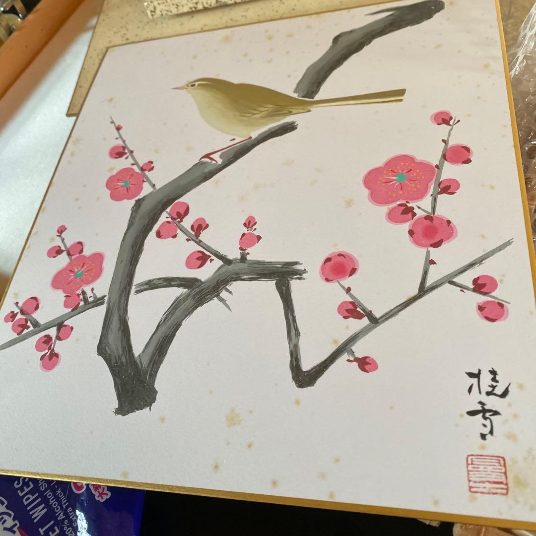 泰山作品　掛軸と水彩画セット