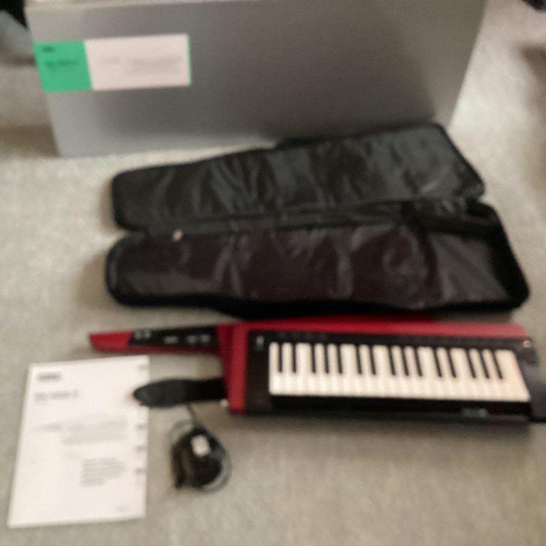 KORG DS-1 電子ピアノ キャリングケース付き