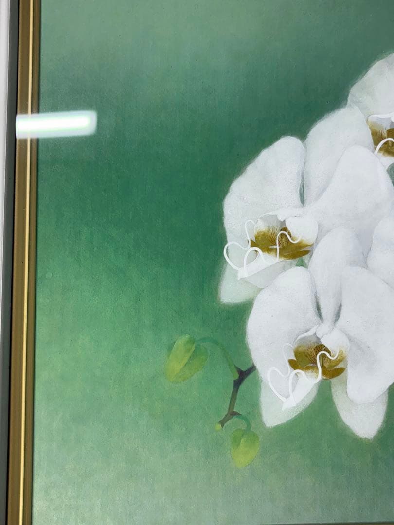 「胡蝶蘭」　下島洋貫　絵画　日本画　風景画　額装　共シール　箱袋有り