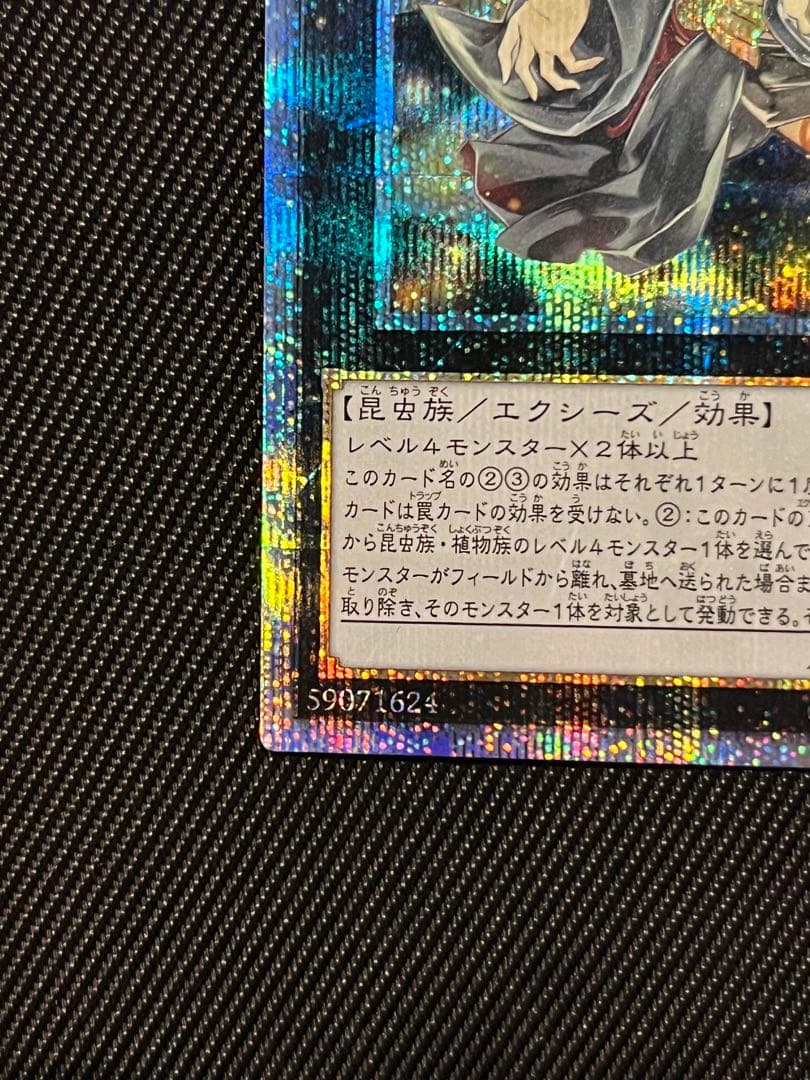 遊戯王　アロメルスの蟲惑魔　20thシークレットレア