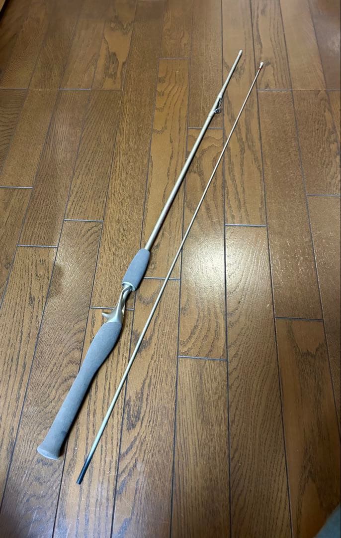 ロッド Daiwa PROCASTER X