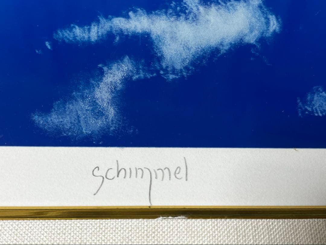 【希少価値の黒豹】シムシメール 「未来を探し求めて」美品 ジークレー 絵画 AP