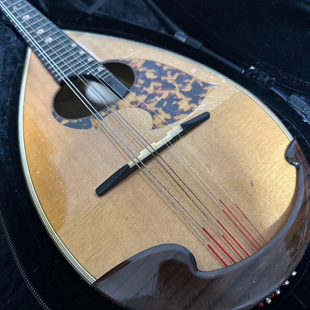 野口實 マンドリン 弦楽器 SB-52 2009 Super Light