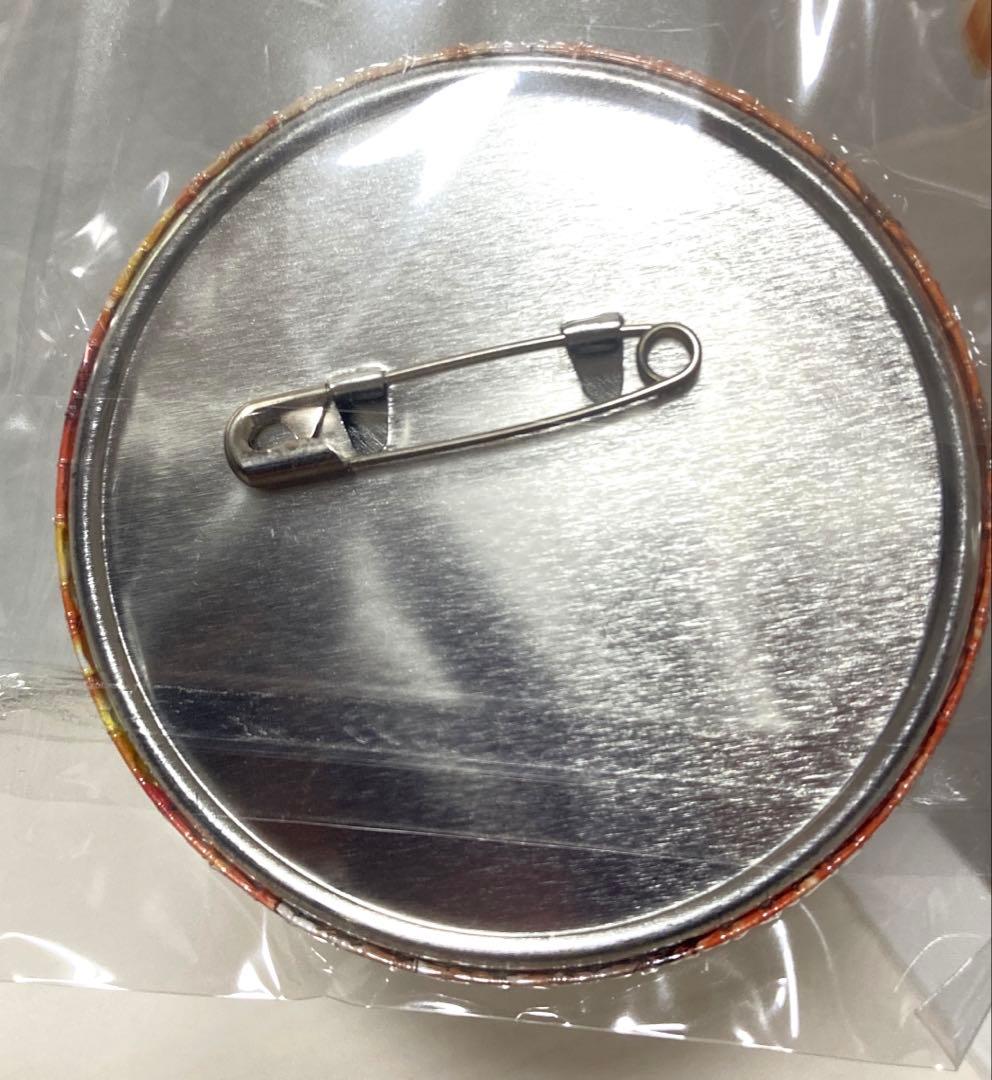 【美品】REBORN! コレクション缶バッジ 沢田綱吉