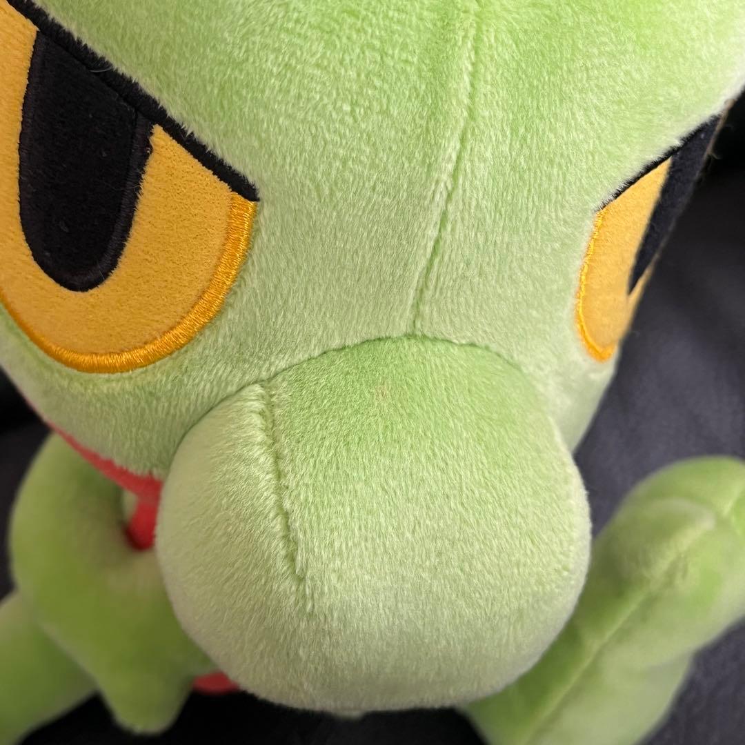 キモリ アチャモ ミズゴロウ　ドール　ぬいぐるみ