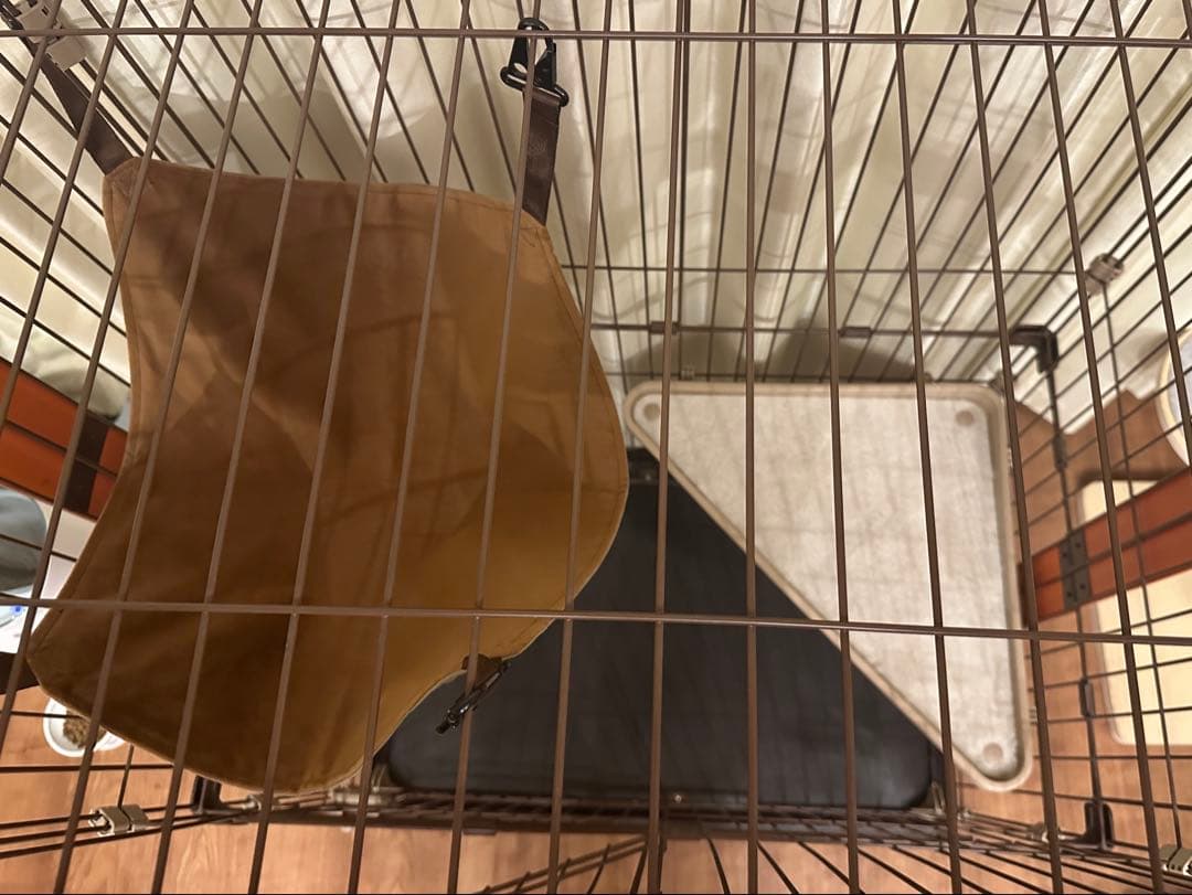 ボンビアルコン ウッドワンサークル キャット 2段タイプ【旧モデル】