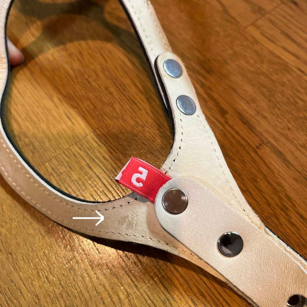 BUDDY BELT バディベルト　ブラック5