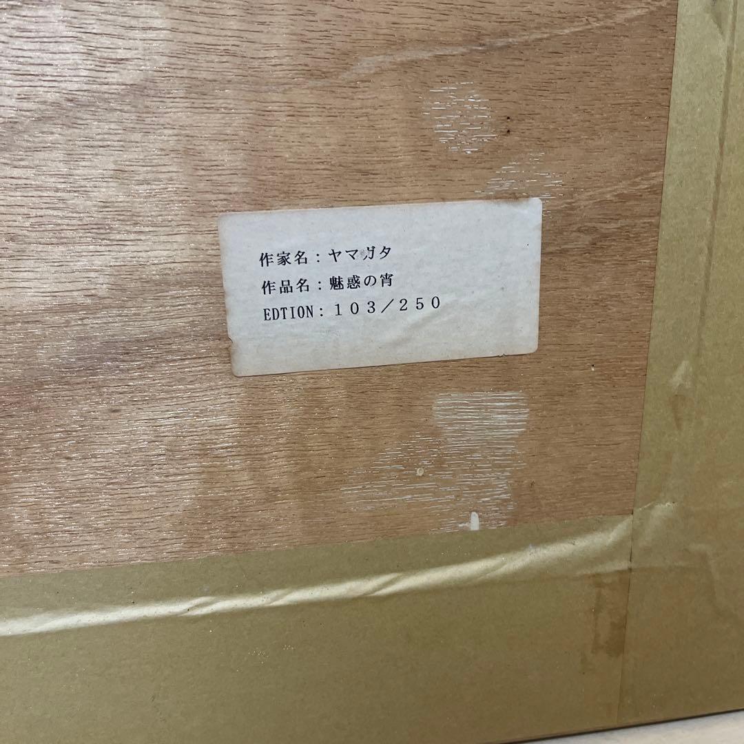 ヒロヤマガタ　魅惑の宵